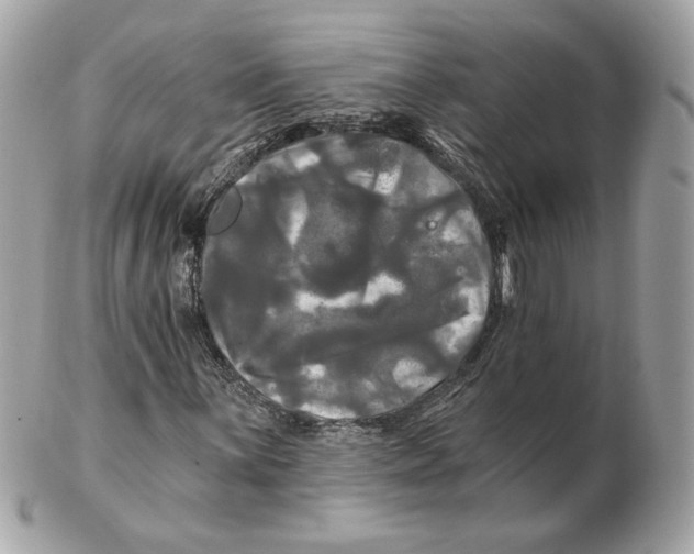 X0000102491059200808291644