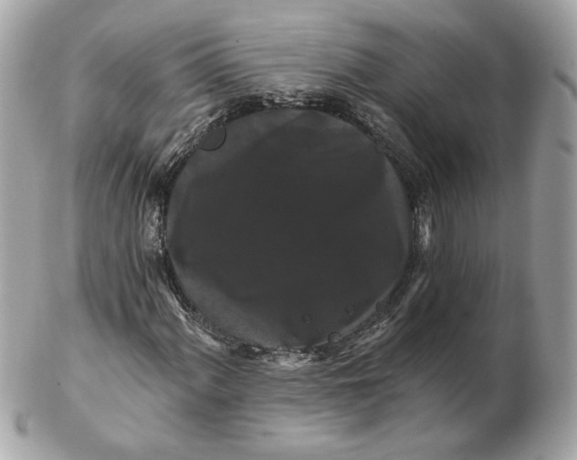 X0000102491060200808291644