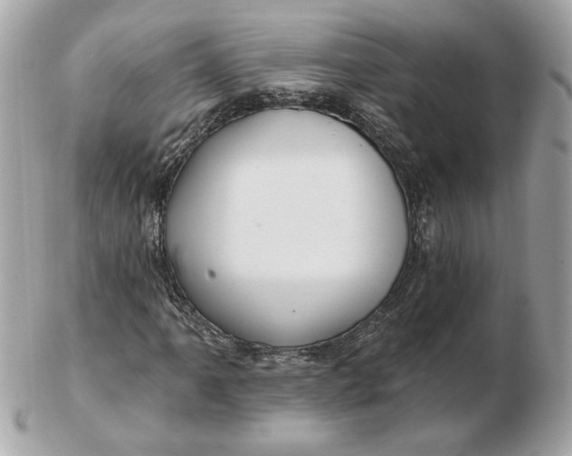 X0000102491061200808291644