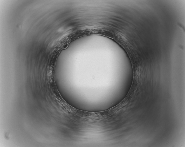 X0000102491062200808291644