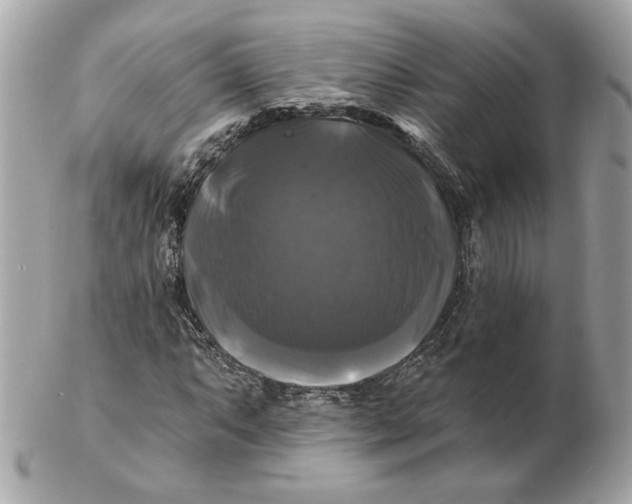 X0000102491063200808291644