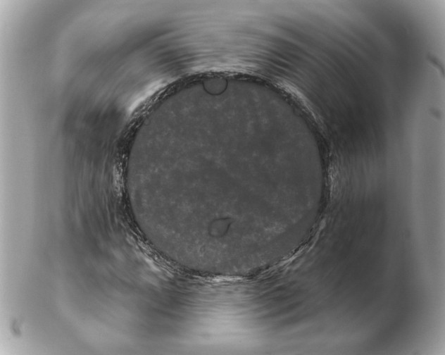 X0000102491064200808291644