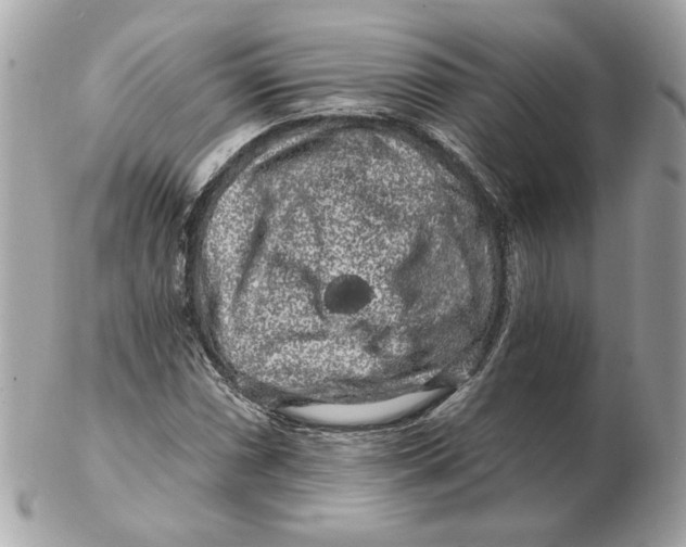 X0000102491066200808291644