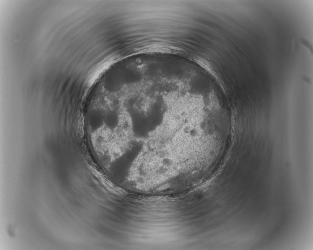 X0000102491067200808291644