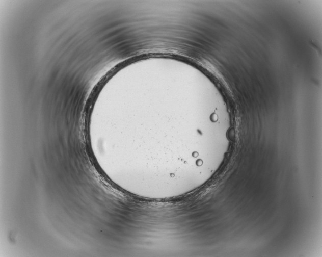 X0000102491068200808291644