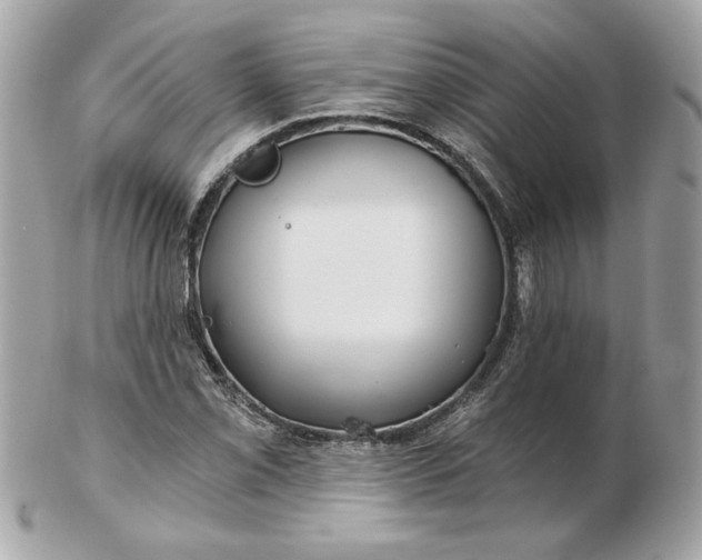 X0000102491069200808291644