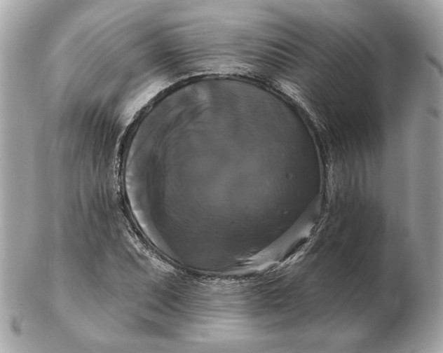 X0000102491071200808291644