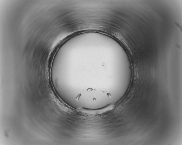 X0000102491072200808291644