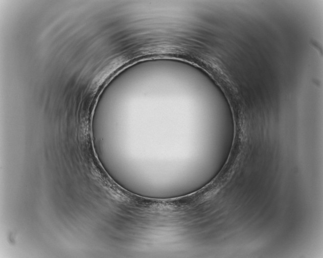 X0000102491073200808291644