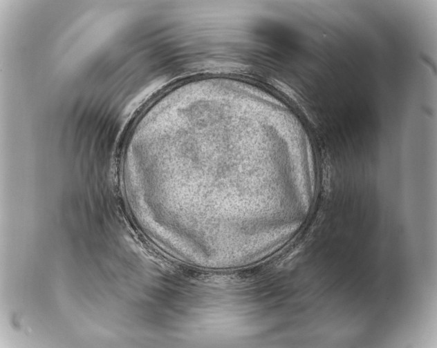 X0000102491074200808291644