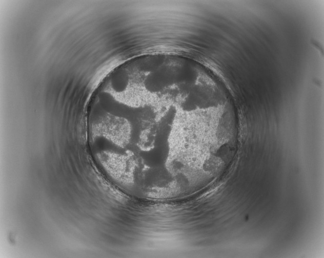 X0000102491075200808291644