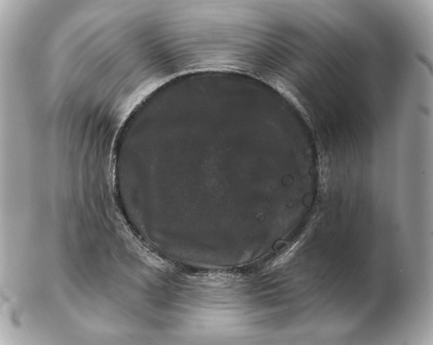 X0000102491077200808291644