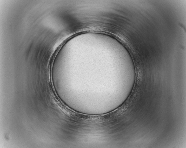 X0000102491078200808291644