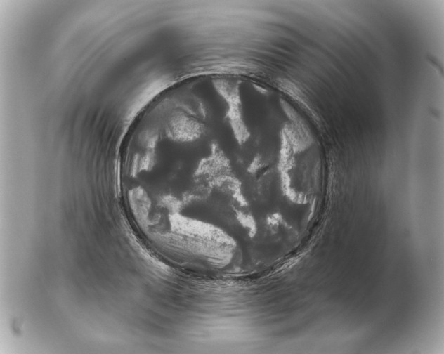 X0000102491079200808291644