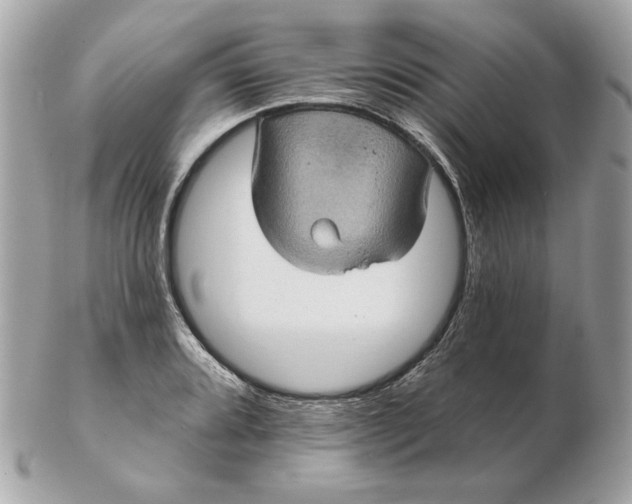 X0000102491080200808291644