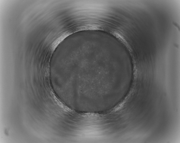 X0000102491081200808291644