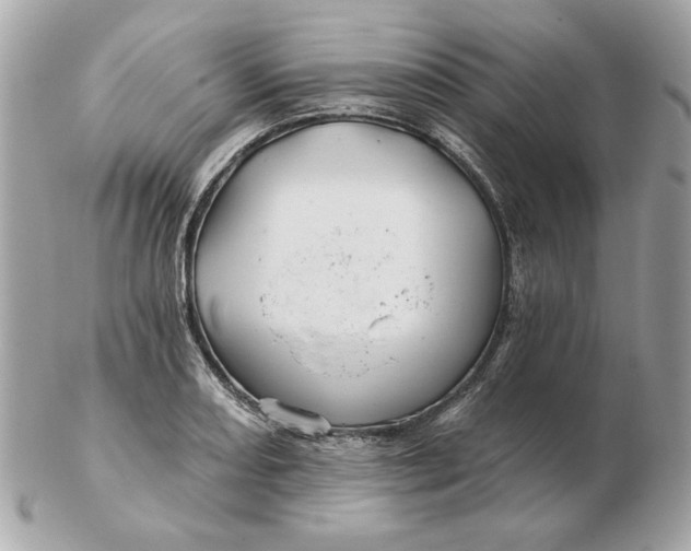 X0000102491082200808291644