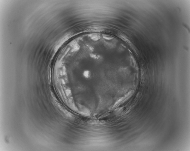 X0000102491083200808291644