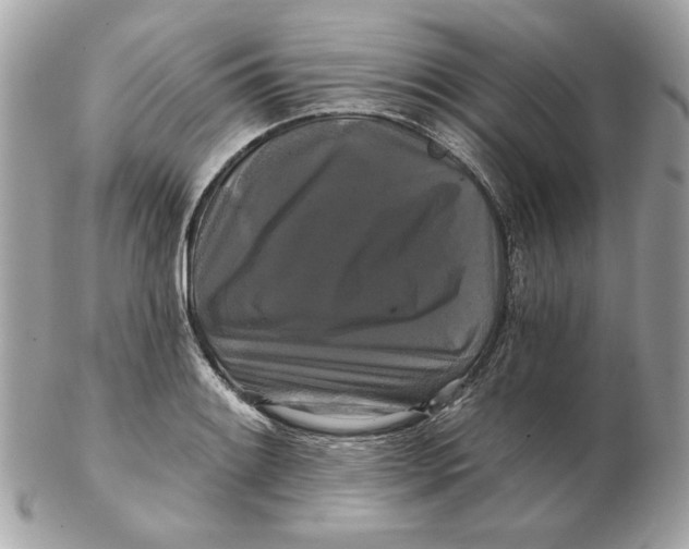 X0000102491084200808291644