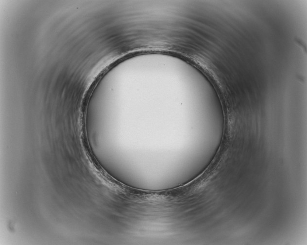 X0000102491085200808291644