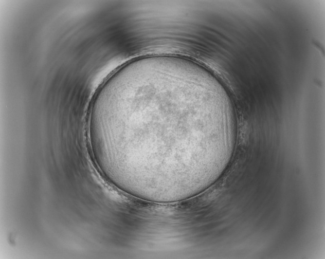 X0000102491086200808291644