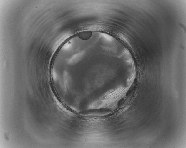 X0000102491087200808291644