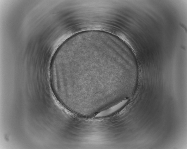 X0000102491088200808291644