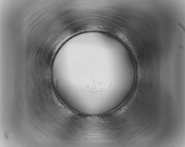 X0000102491089200808291644