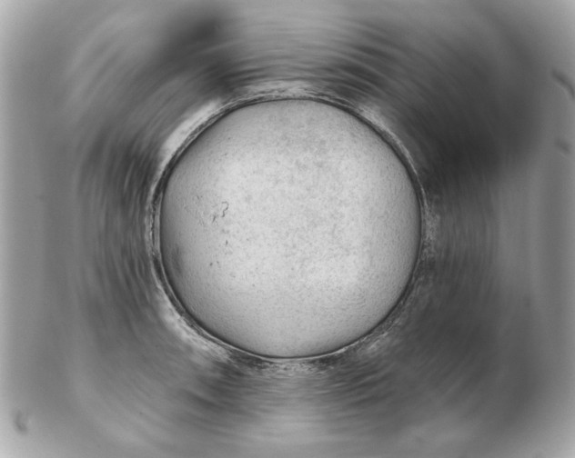 X0000102491090200808291644