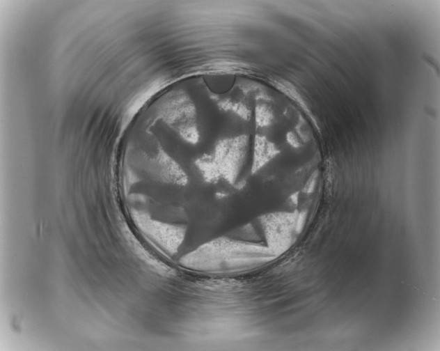 X0000102491091200808291644