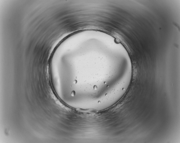 X0000102491092200808291644