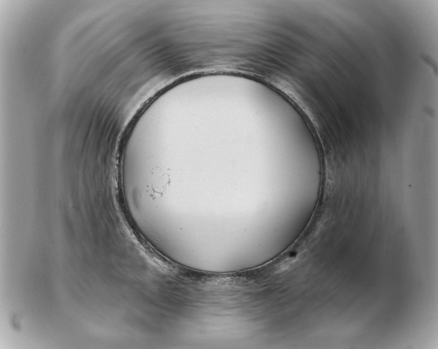 X0000102491093200808291644