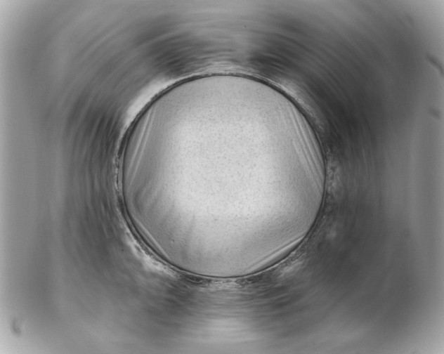 X0000102491094200808291644