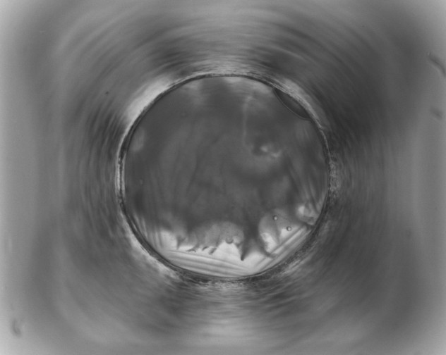 X0000102491095200808291644