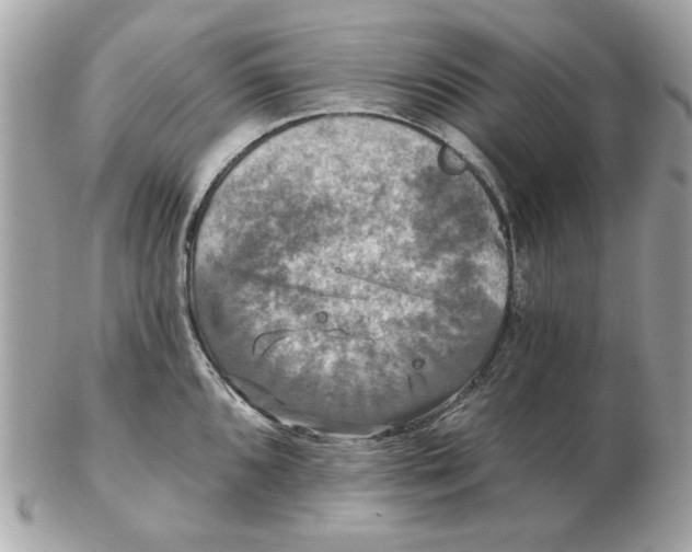 X0000102491096200808291644