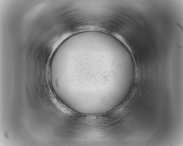 X0000102491098200808291644