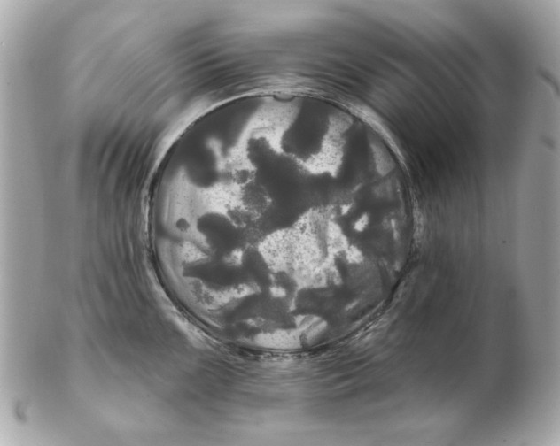 X0000102491099200808291644