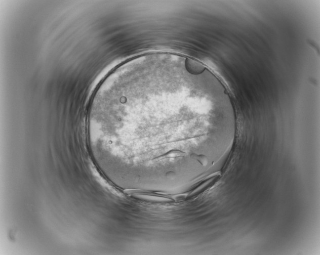 X0000102491100200808291644