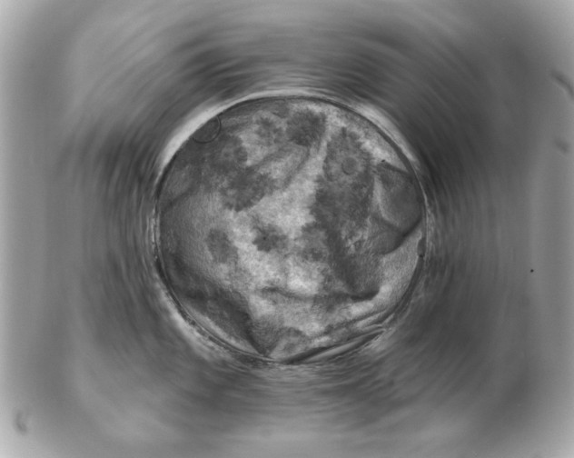 X0000102491101200808291644