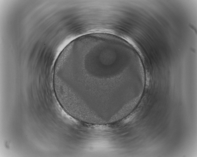 X0000102491102200808291643