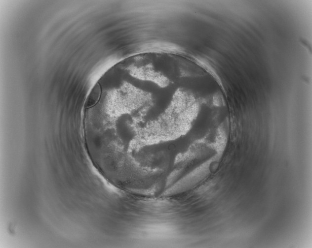 X0000102491103200808291643