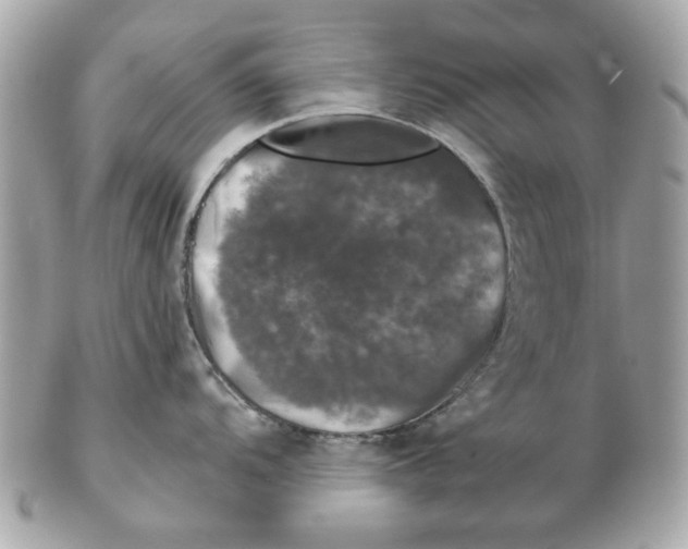 X0000102491104200808291643