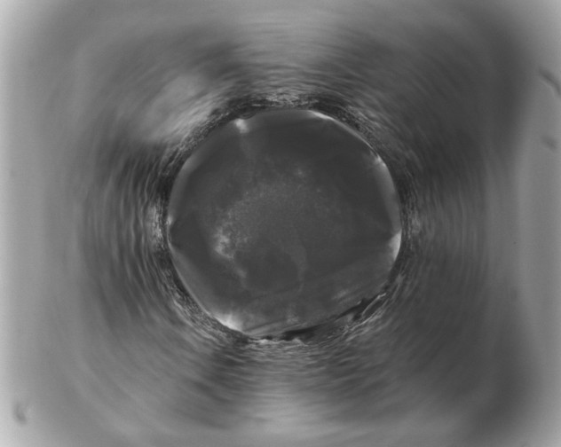 X0000102491106200808291643