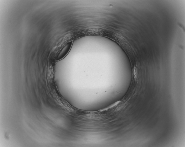 X0000102491107200808291643