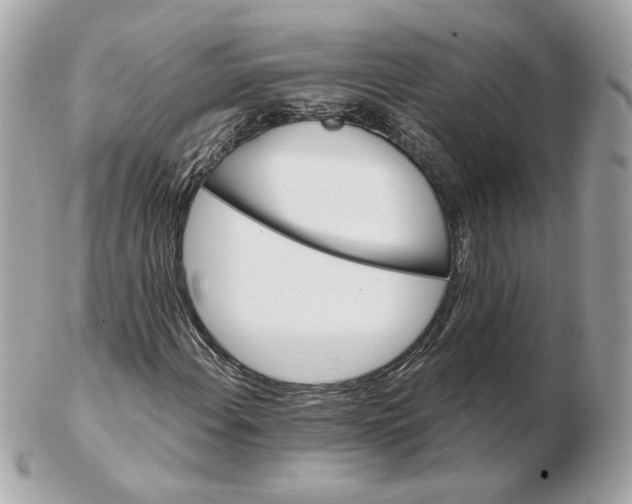 X0000102491108200808291643