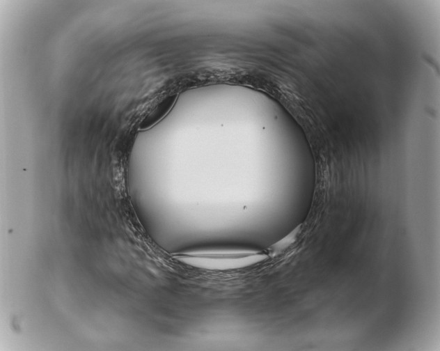 X0000102491109200808291643