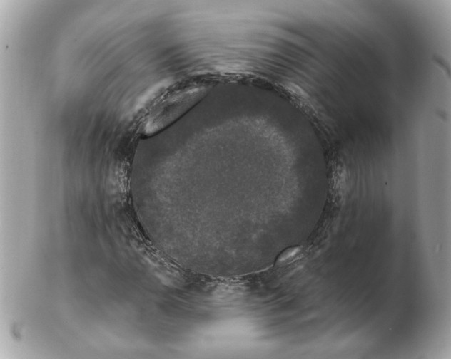 X0000102491110200808291643