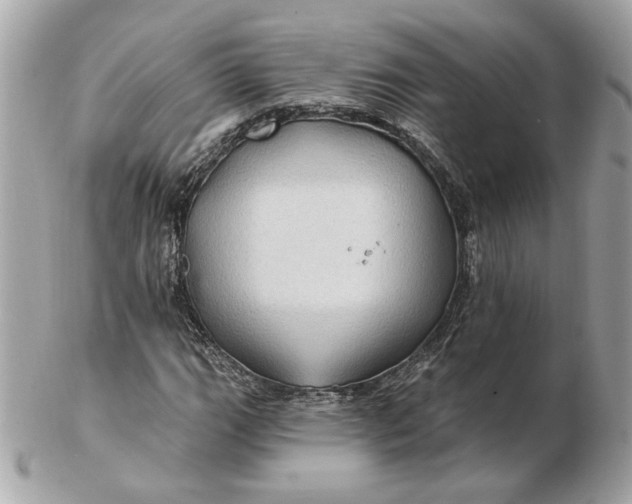 X0000102491111200808291643