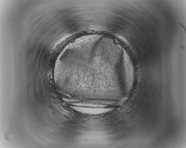 X0000102491112200808291643