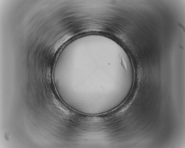 X0000102491113200808291643